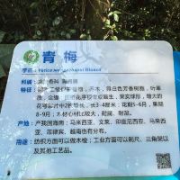 評論圖片 7