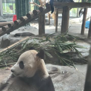 評論圖片 5
