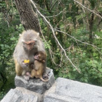 評論圖片 6