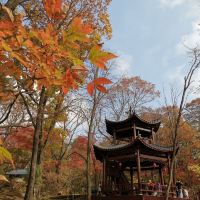 評論圖片 9
