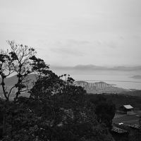 評論圖片 4