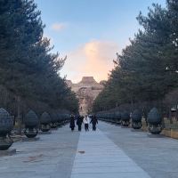 評論圖片 7