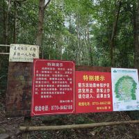 評論圖片 2