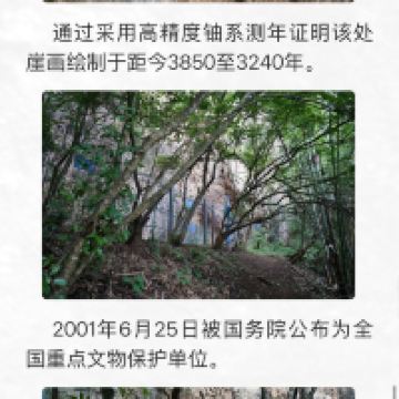 評論圖片 4