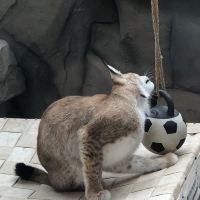 評論圖片 5