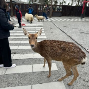 評論圖片 2