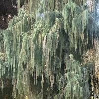 評論圖片 3