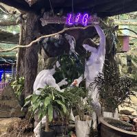 評論圖片 8