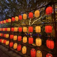 評論圖片 1