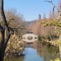 評論圖片 1