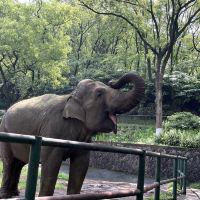 評論圖片 8