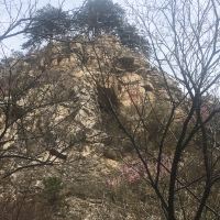 評論圖片 6