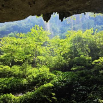 評論圖片 2