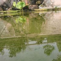 評論圖片 5