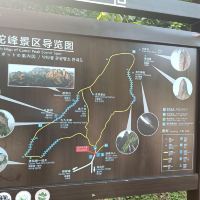 評論圖片 3