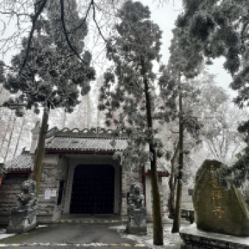 評論圖片 5