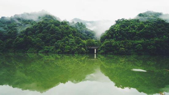 看了東江湖，我才知道水墨中國真是誠不我欺，景色真的太美了，一