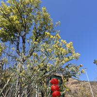 評論圖片 7