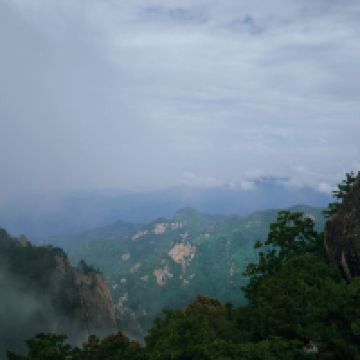 評論圖片 7