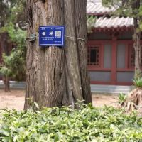 評論圖片 7