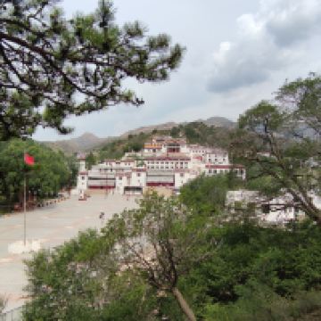 評論圖片 7