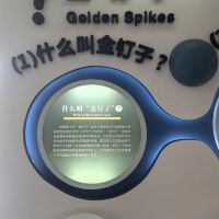 評論圖片 6
