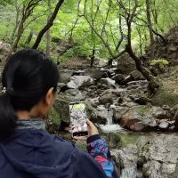 評論圖片 1