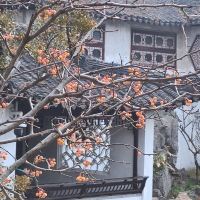 評論圖片 9