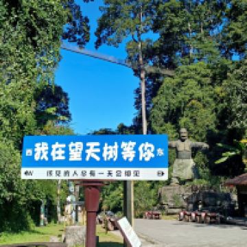 評論圖片 1