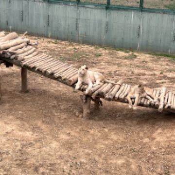 評論圖片 9