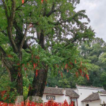 評論圖片 4
