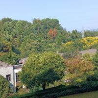 評論圖片 5
