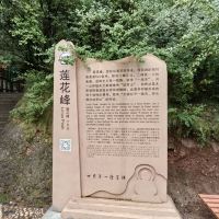 評論圖片 5