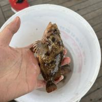 評論圖片 4