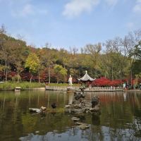 評論圖片 3
