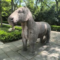 評論圖片 4