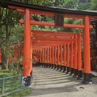 評論圖片 3