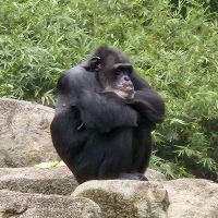 評論圖片 4