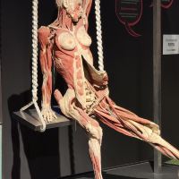 評論圖片 1