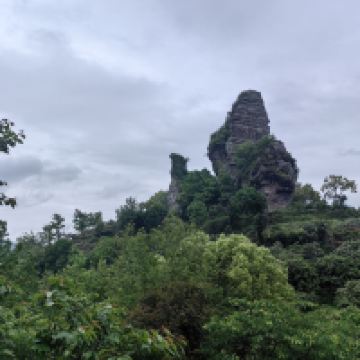 評論圖片 4