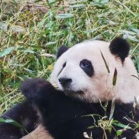 評論圖片 3