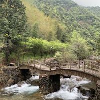 評論圖片 7