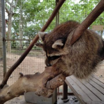 評論圖片 6