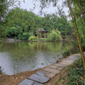 評論圖片 8