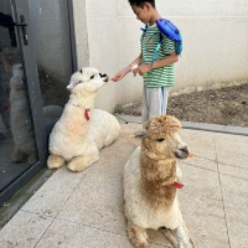 評論圖片 7