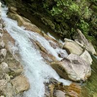 評論圖片 6