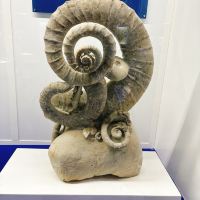 評論圖片 4