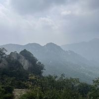 評論圖片 3