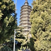 評論圖片 3