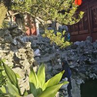 評論圖片 8